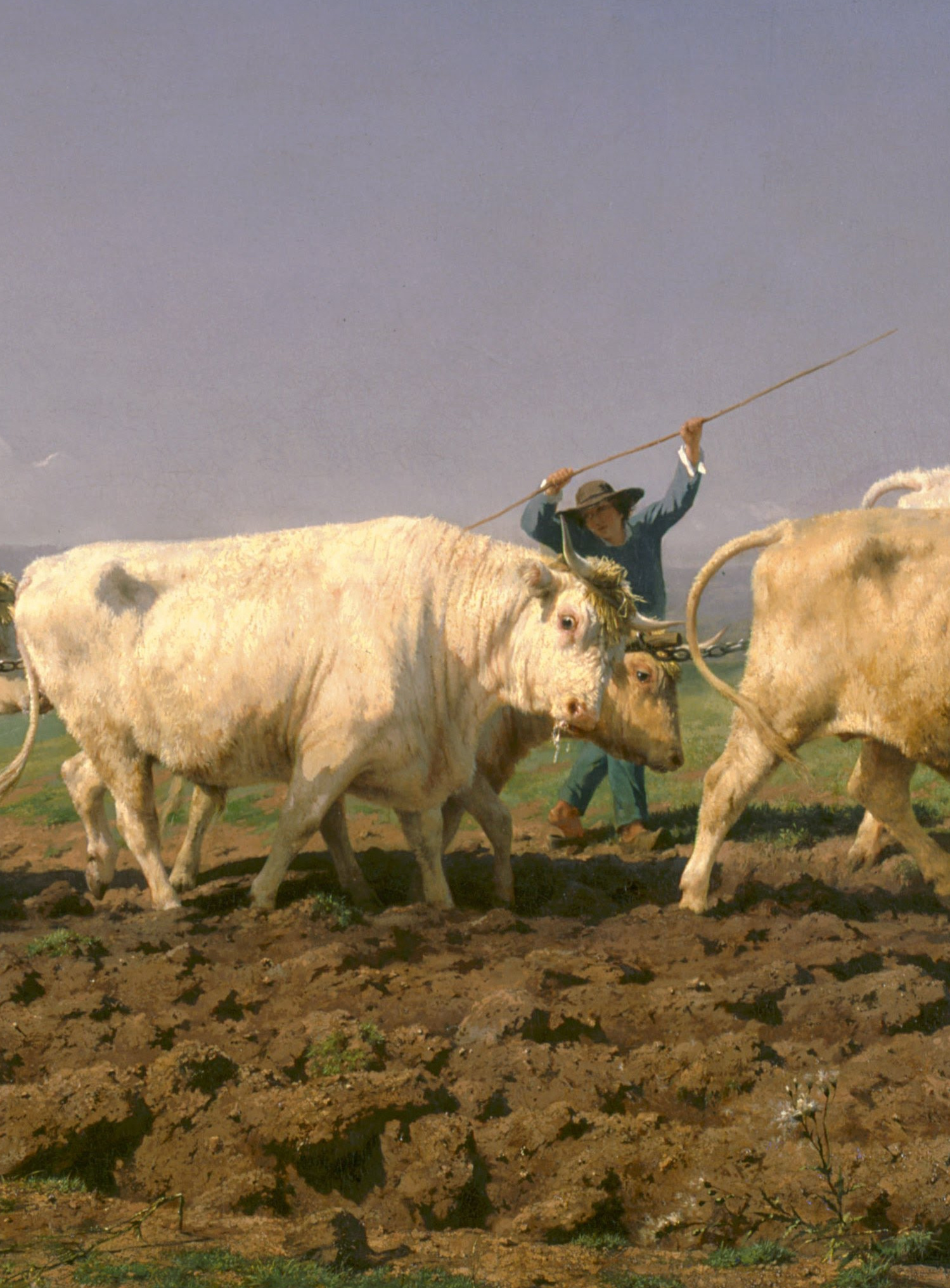 Image du jeu-concours