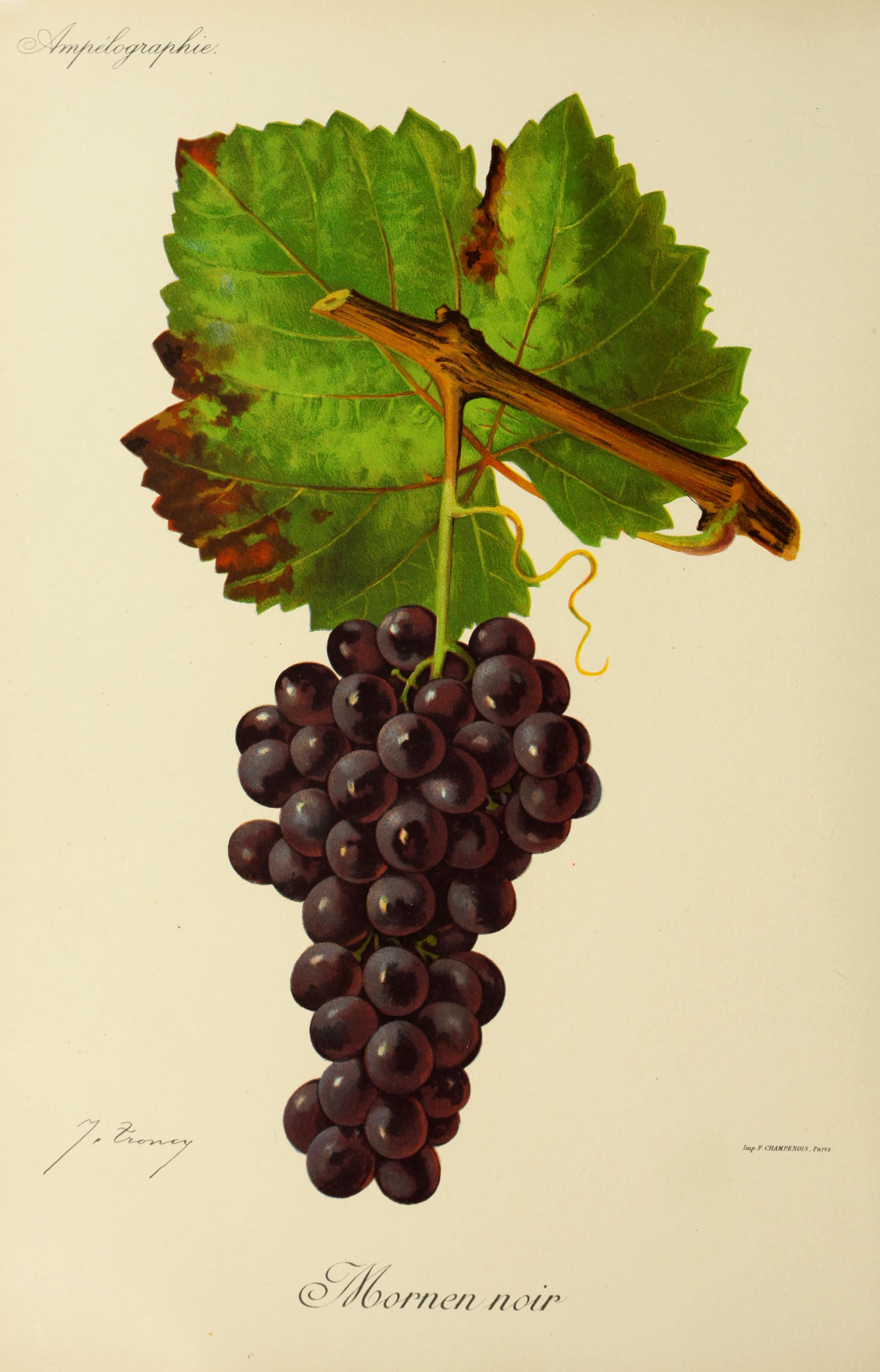 Image du jeu-concours