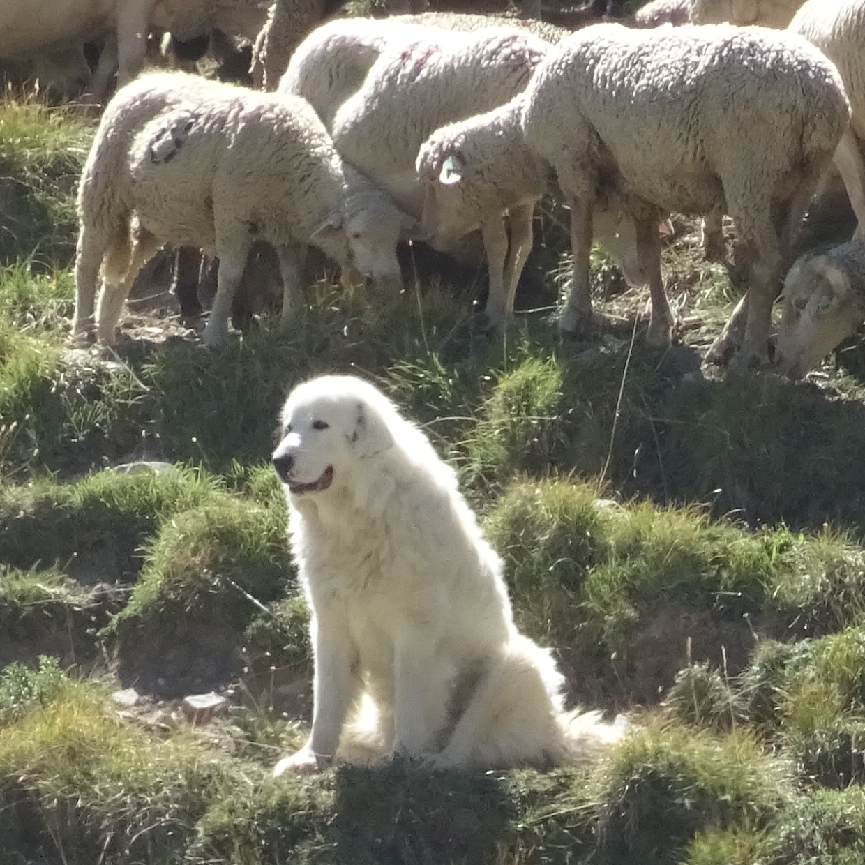 Image du jeu-concours