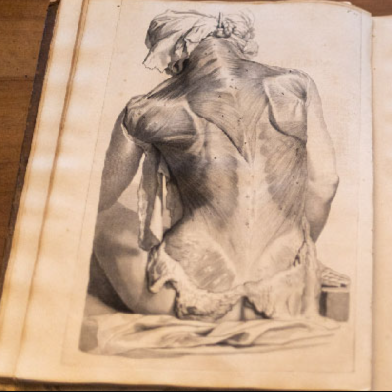 Image du jeu-concours