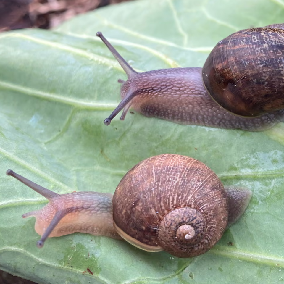 Image du jeu-concours