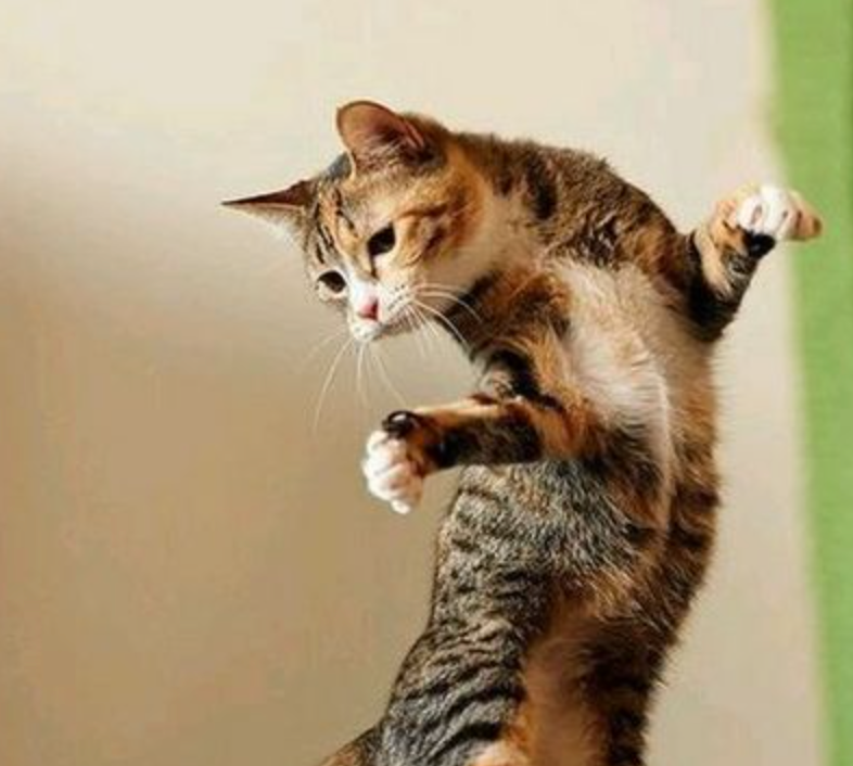 Image du jeu-concours