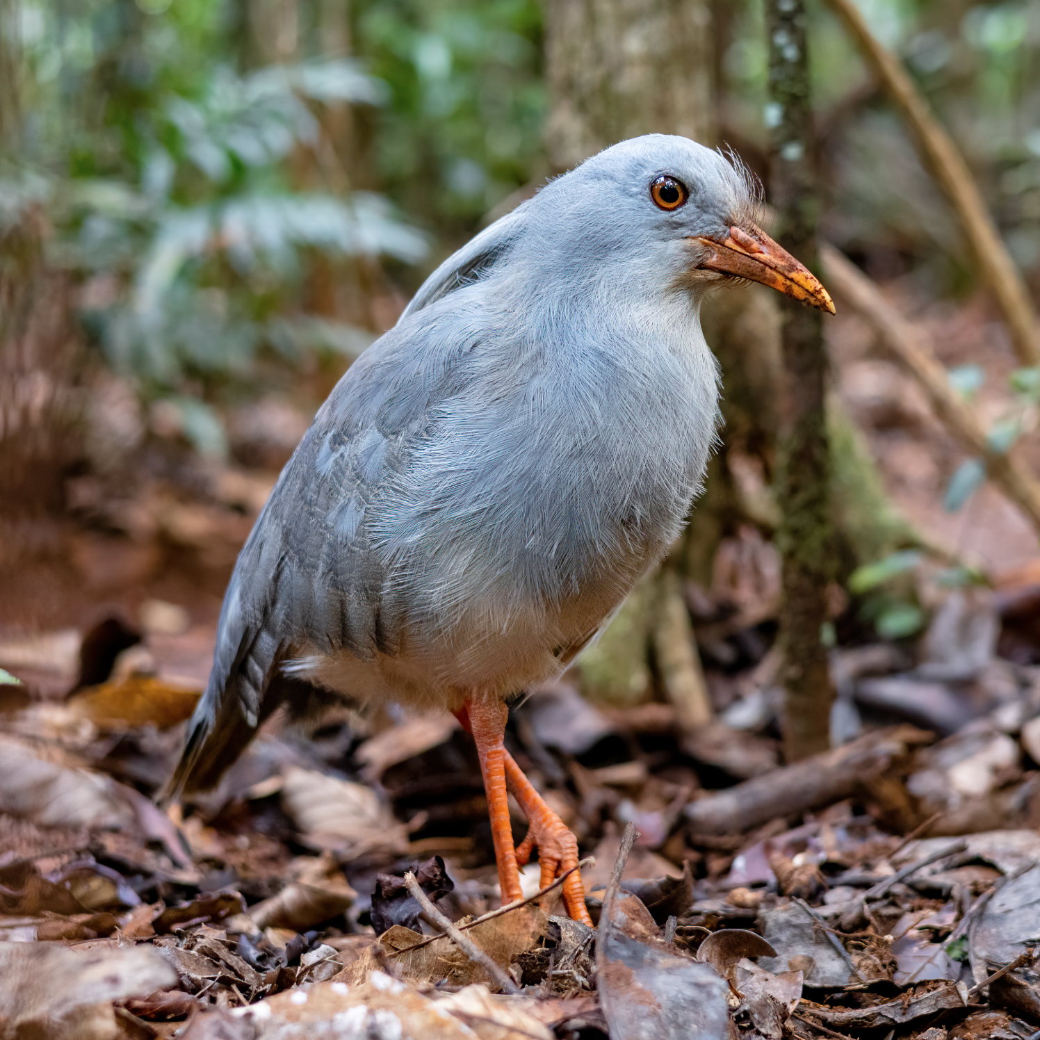 Image du jeu-concours